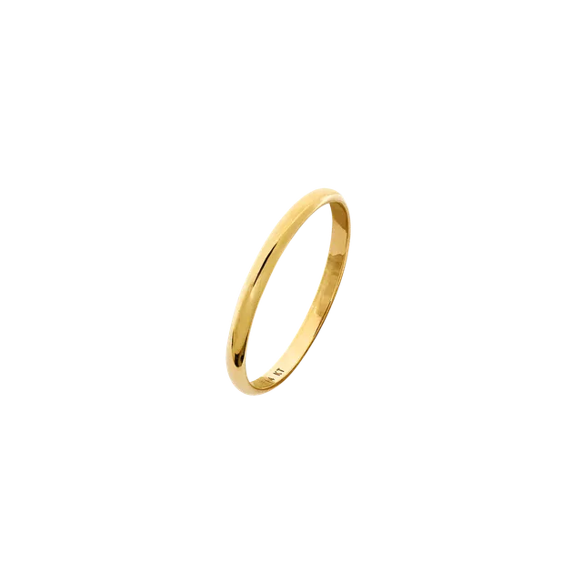 xenox-fine-pure-ring-585-gelbgold image 1