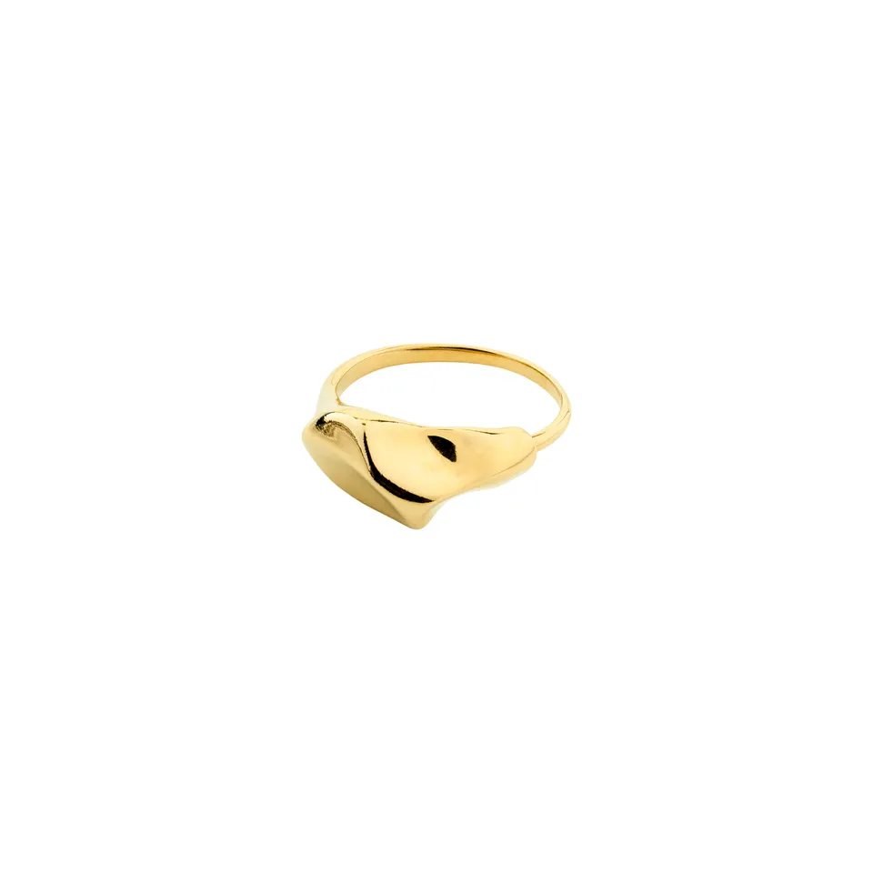 pilgrim-indi-ring-vergoldet-verstellbar-gr-62-66 image 1