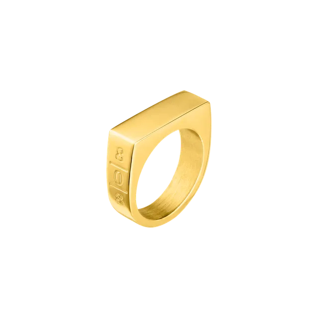 purelei-square-ring-808-statement-ring-gold-silber image 1