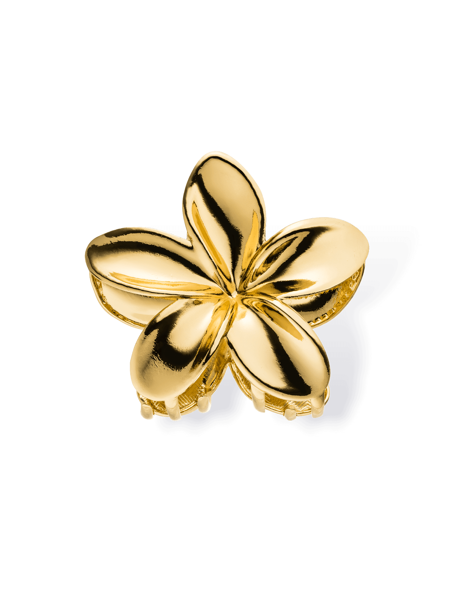 purelei-flower-hairclip-plumeria-haarklammer-aus-edelstahl image 1