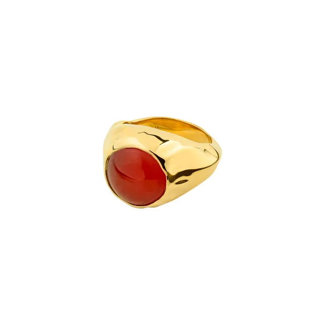 pilgrim-xdea-pave-icon-ring-gr-54-roter-onyx-18k-vergoldetes-recyceltes-sterling image 1