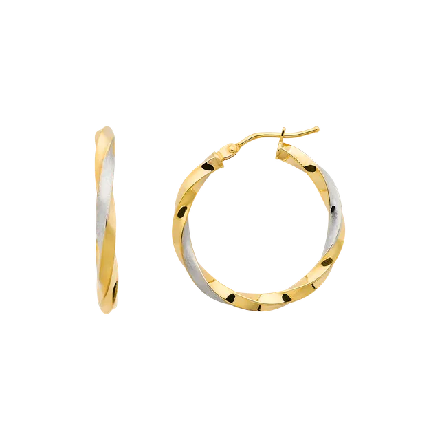 xenox-fine-bicolor-creolen-585-gelbgold-gedreht image 1