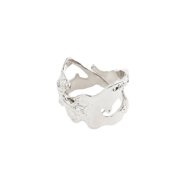 pilgrim-compass-ring-organisch-versilbert image 1