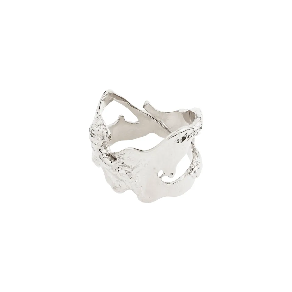 pilgrim-compass-ring-organisch-versilbert image 1