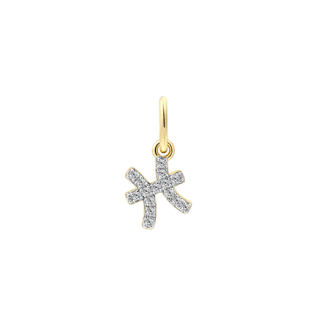 xenox-fische-charm-925-sterlingsilber-18k-vergoldet-mit-zirkonia image 1