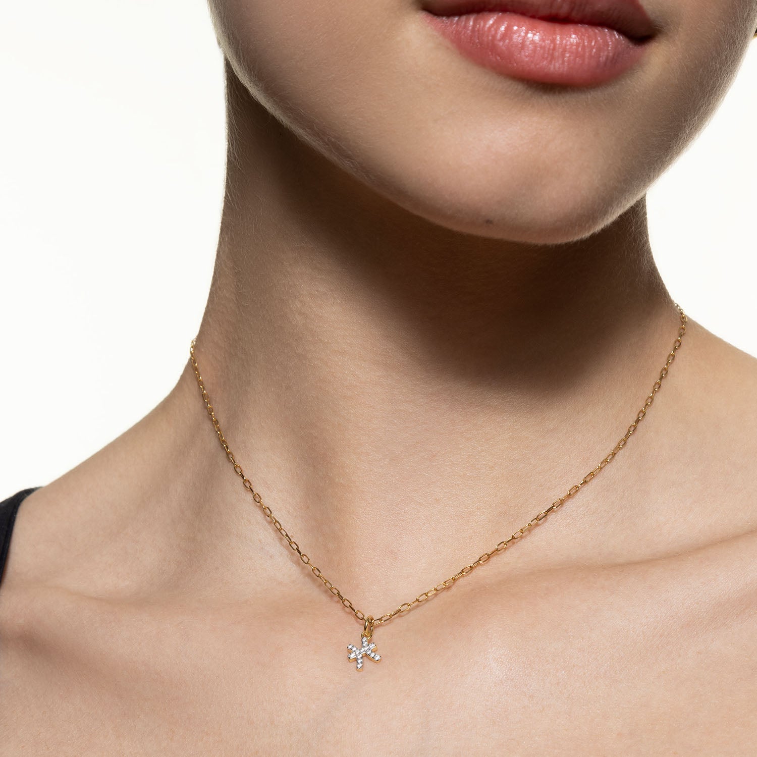 xenox-fische-charm-925-sterlingsilber-18k-vergoldet-mit-zirkonia image 3