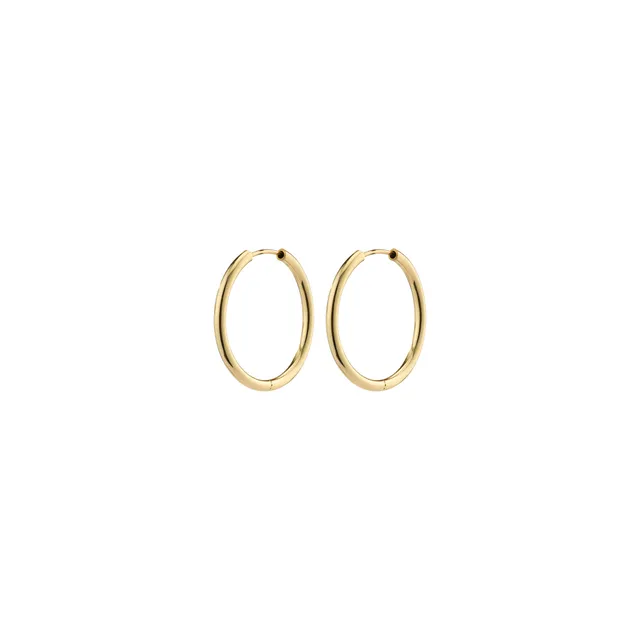 pilgrim-april-kleine-creolen-20-mm-goldplattiert image 1