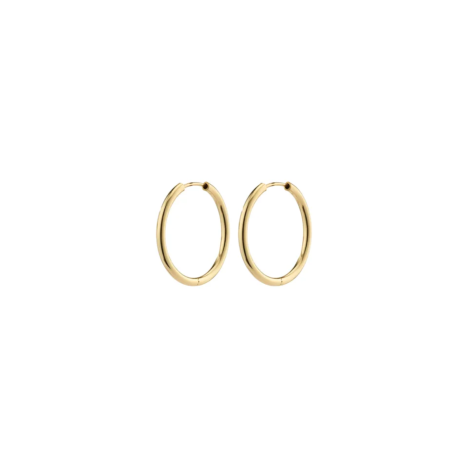 pilgrim-april-kleine-creolen-20-mm-goldplattiert image 1