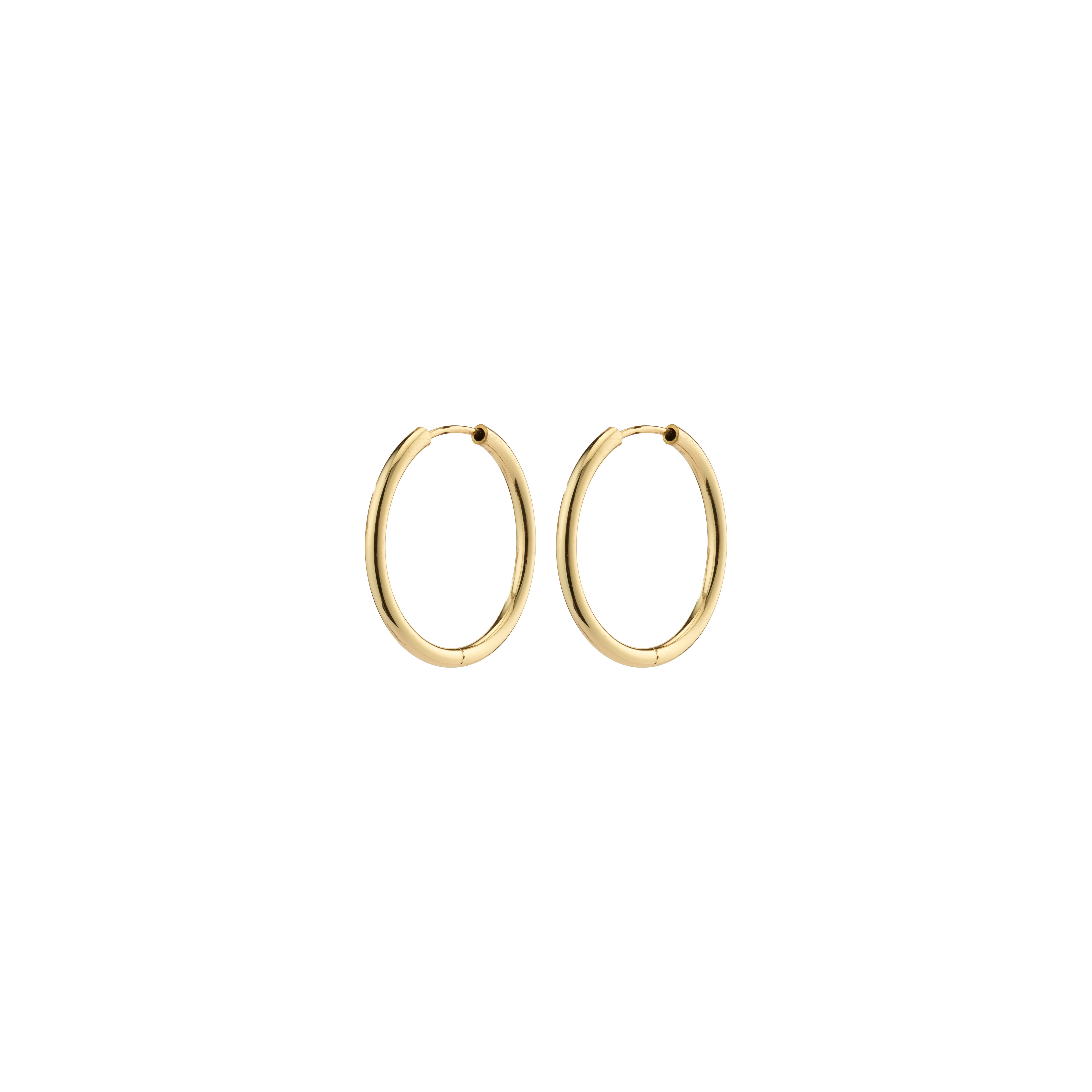 pilgrim-april-kleine-creolen-20-mm-goldplattiert image 1