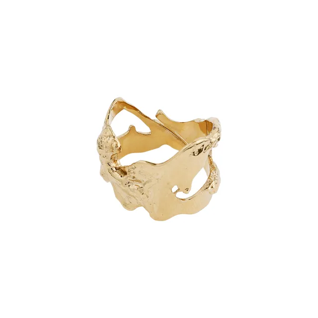 pilgrim-compass-organisch-geformter-ring-vergoldet image 1