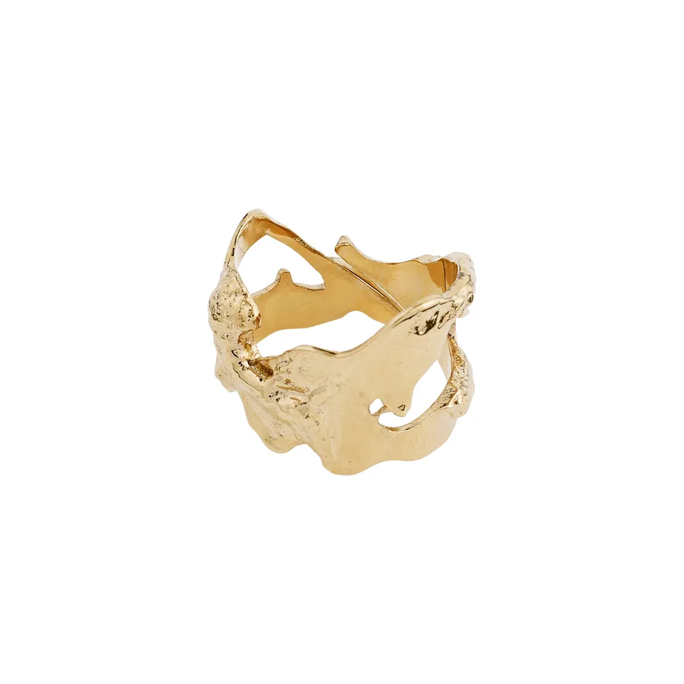 pilgrim-compass-organisch-geformter-ring-vergoldet image 1