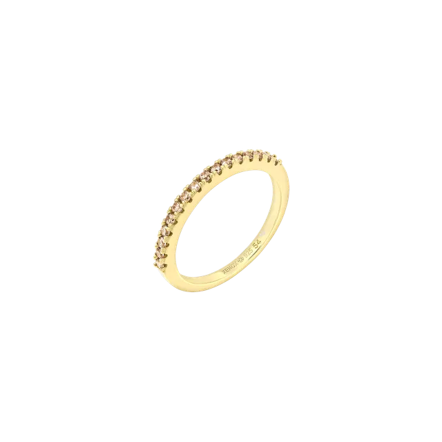 xenox-grace-ring-xs91793g-925-sterlingsilber-18k-vergoldet-mit-champagner-zirkon image 1