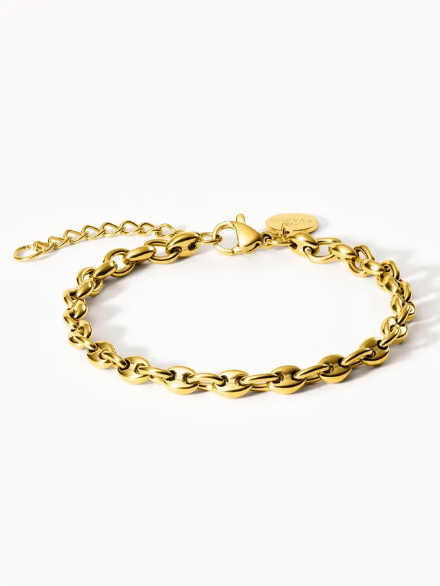 purelei-dreamscape-armband-schiffsankerkette-16-19-cm-in-gold-silber-ros-gold-bi image 1