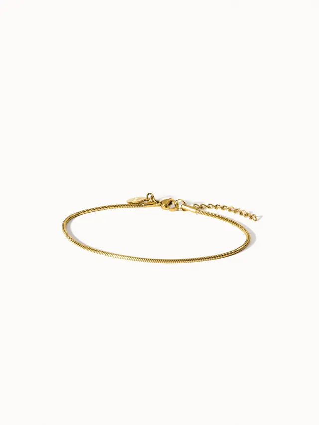 purelei-sleek-fu-kettchen-schlangenketten-fu-kette-aus-edelstahl-21-25-cm image 1