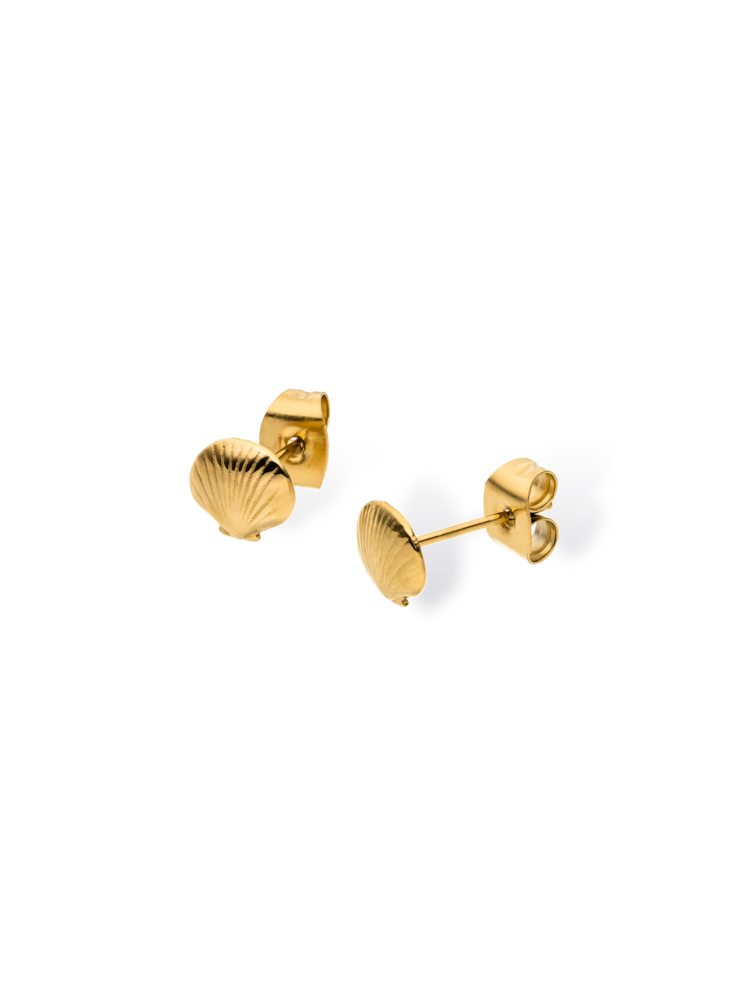 purelei-seashell-ohrringe-muschel-ohrstecker-7-mm image 1