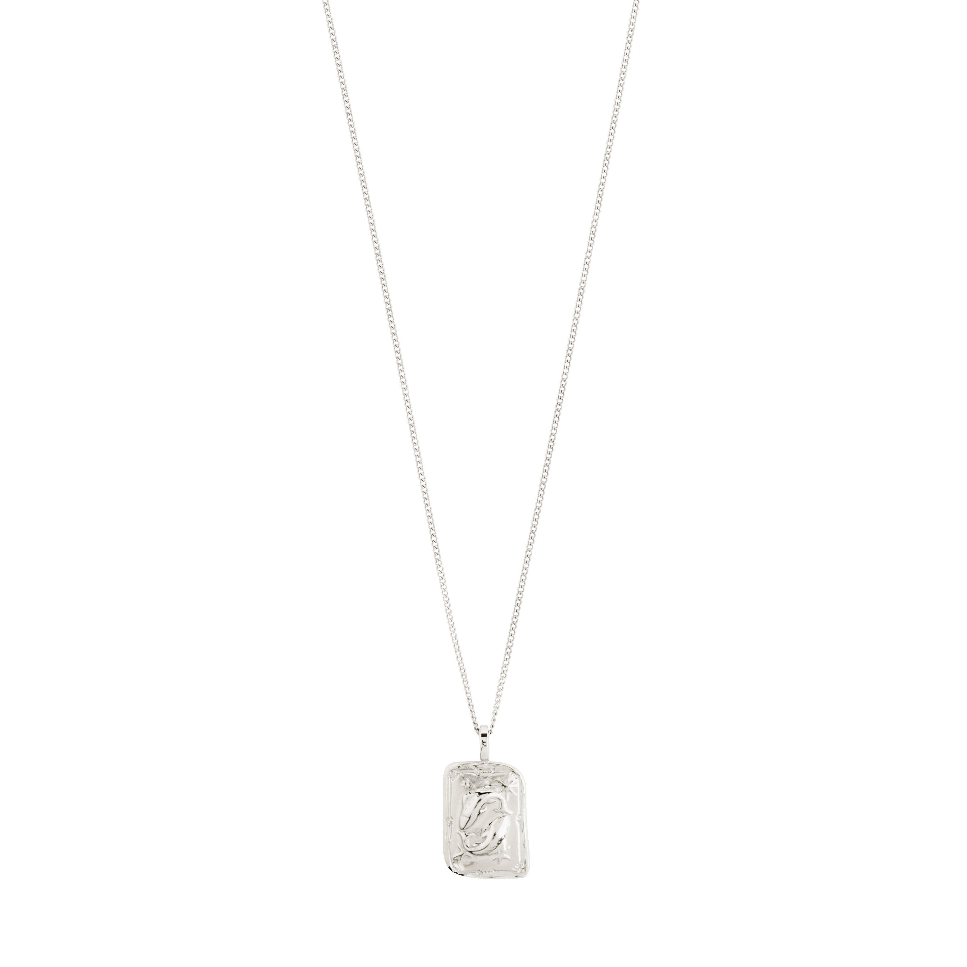 pilgrim-pisces-sternzeichen-kette-fische-versilbert-mit-wendecoin image 1