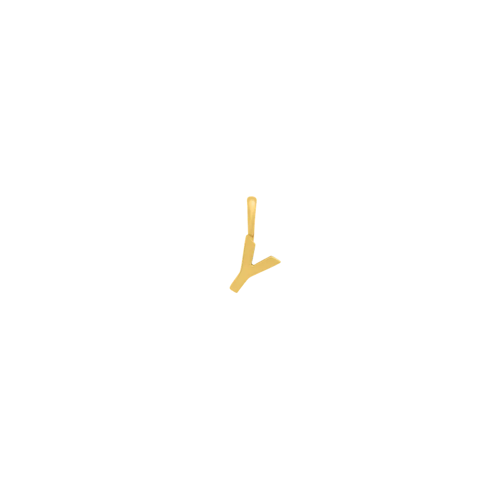 xenox-fine-y-letter-anh-nger-585-gelbgold-buchstaben-initial image 1
