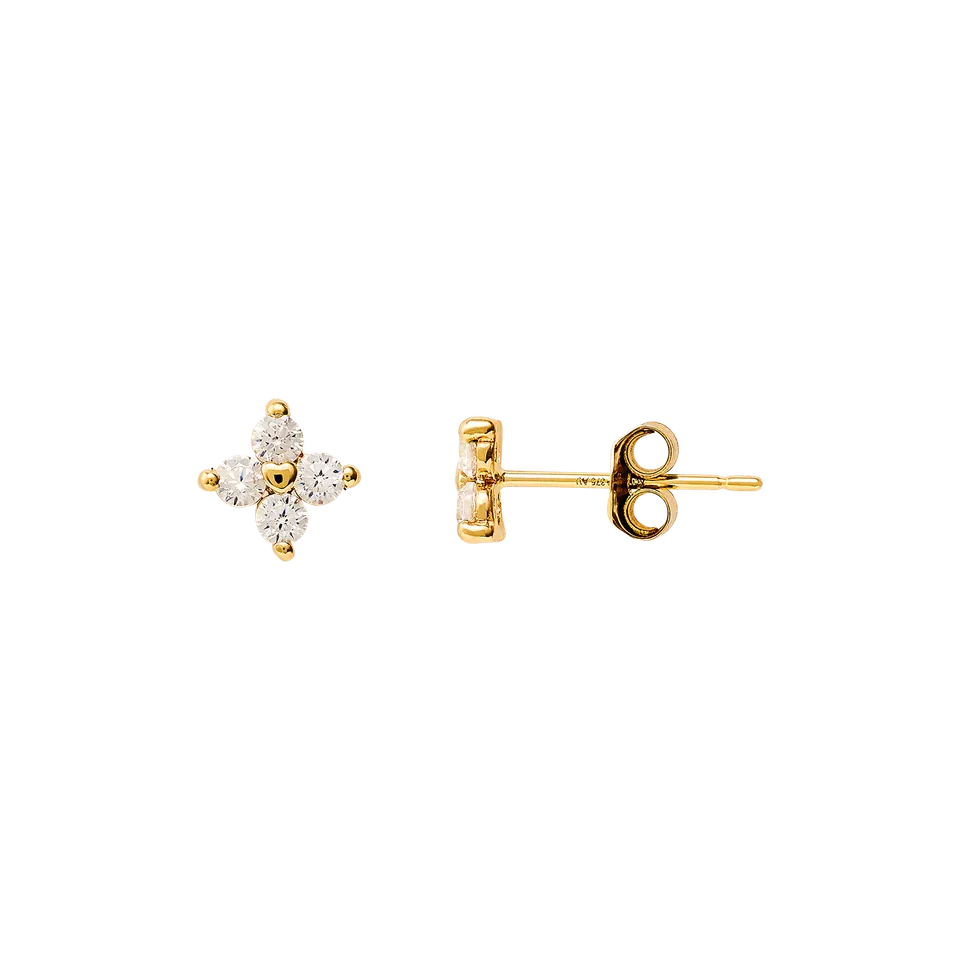xenox-fine-ohrringe-xg14k4030g-585-gelbgold-mit-wei-en-zirkonia image 1