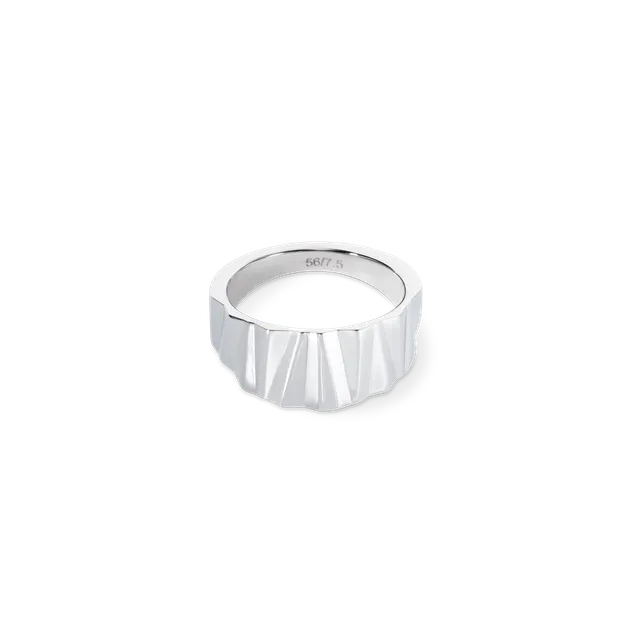 coeur-de-lion-ring-classic-wave-silber-edelstahl image 1