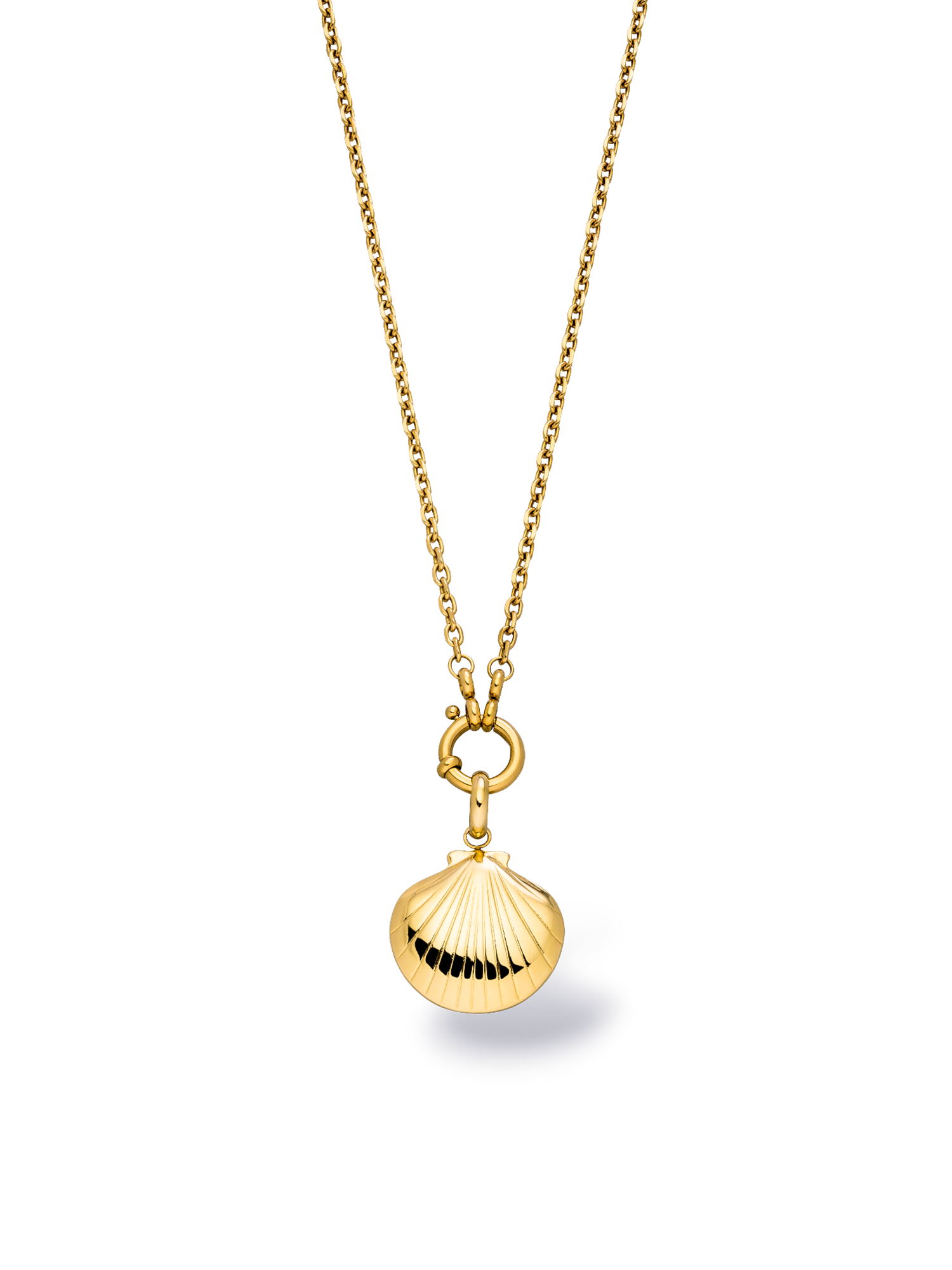 purelei-seashell-charm-muschel-anh-nger-34-mm-gold-silber-ros-gold image 2
