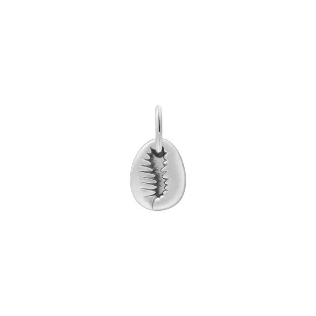 xenox-muschel-charm-925-sterlingsilber-rhodiniert-xs10513 image 1