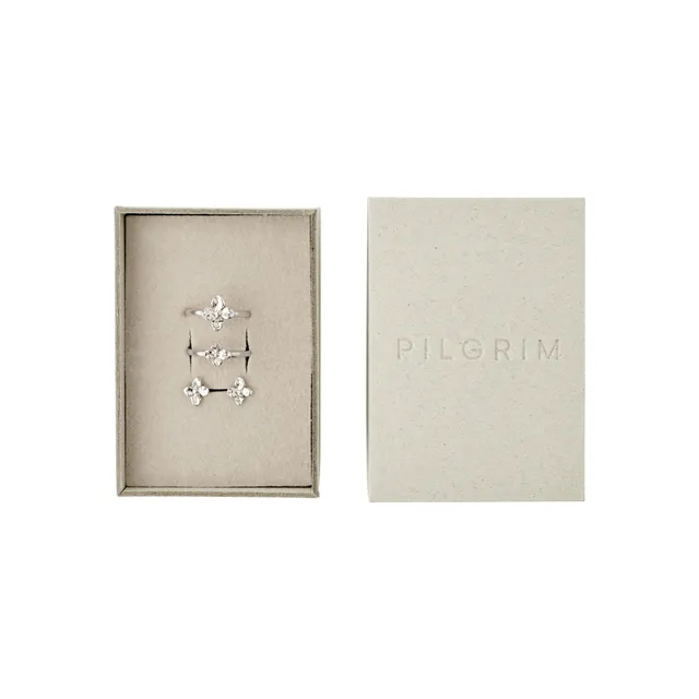 pilgrim-sanine-geschenkset-ringe-ohrstecker-versilbert-floral image 1