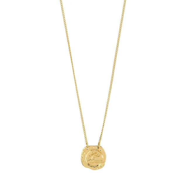pilgrim-msf-halskette-goldplattiert-mit-coin-anh-nger image 1