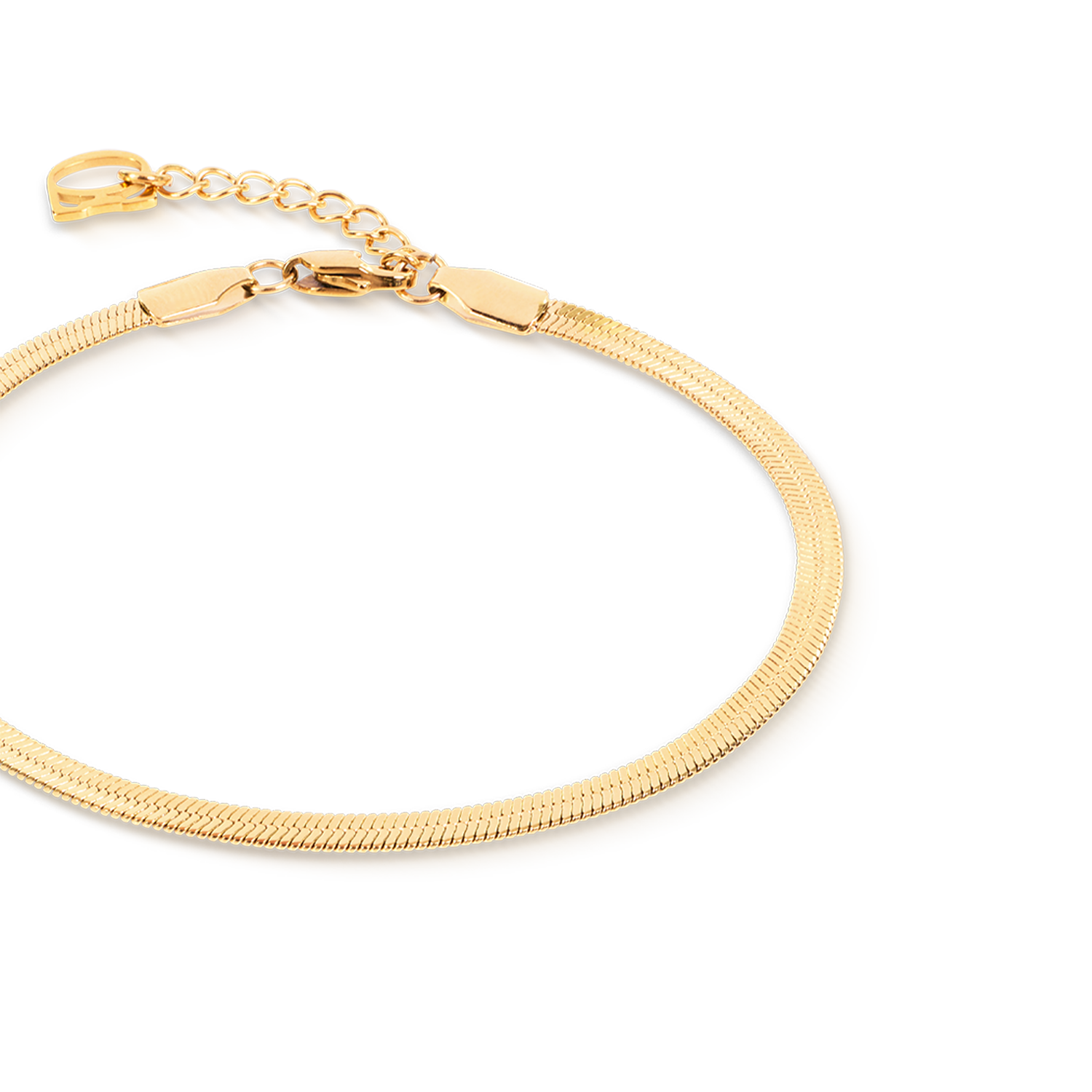 coeur-de-lion-flaches-schlangenarmband-gold-3-mm-17-5-cm image 2